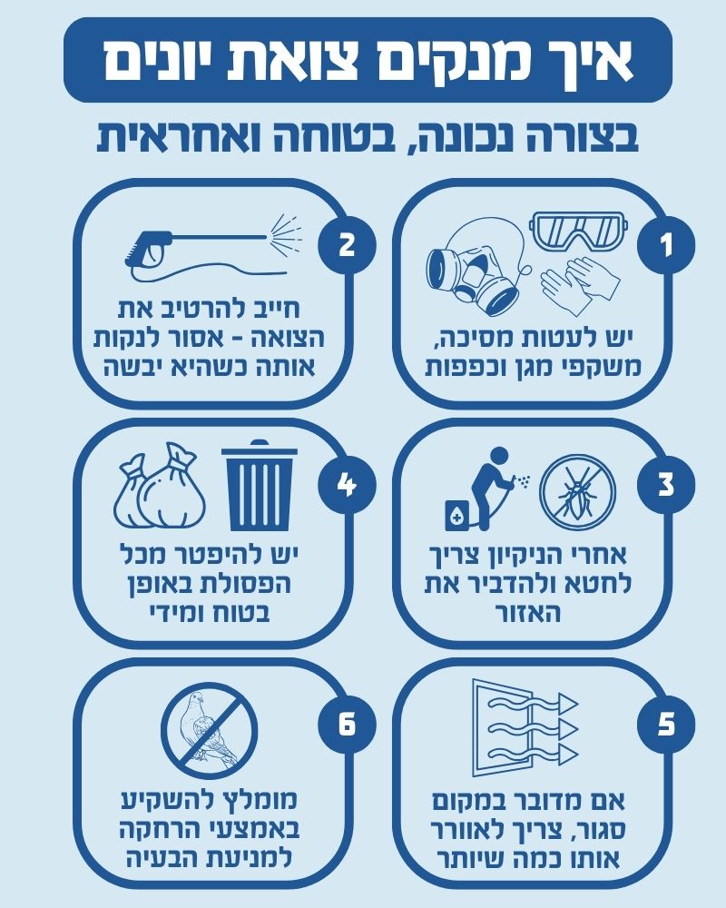 איך מנקים צואת יונים