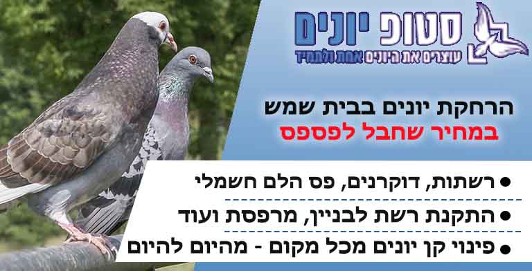 הרחקת יונים בבית שמש