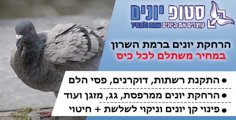הרחקת יונים ברמת השרון